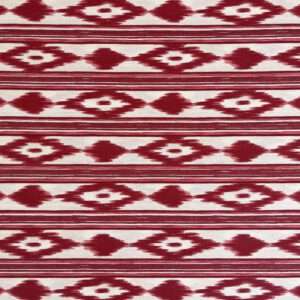 Ikat rot