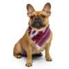 Bandana / Halstuch im Telas de Lengua Design Rot